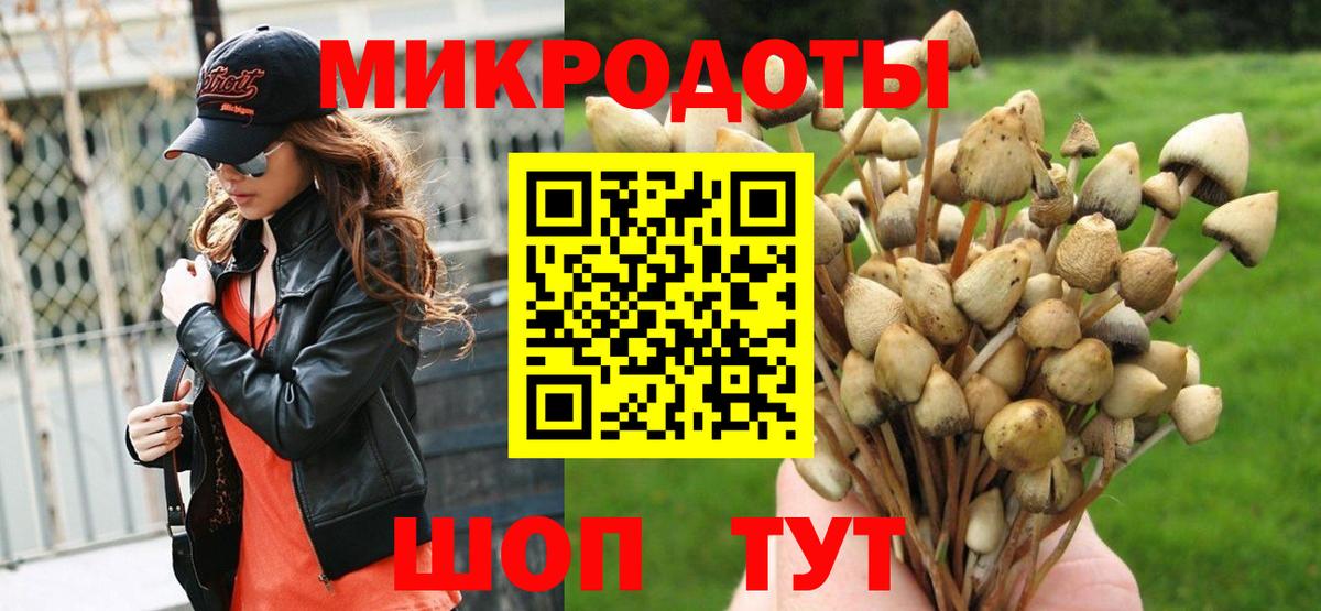 Псилоцибиновые грибы мицелий  Вход с VPN  Ставрополь 