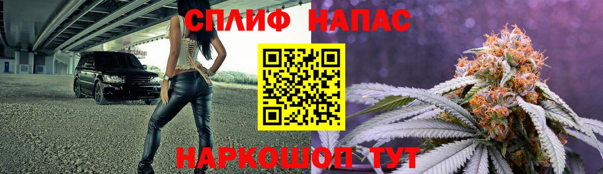 Конопля марихуана Ставрополь